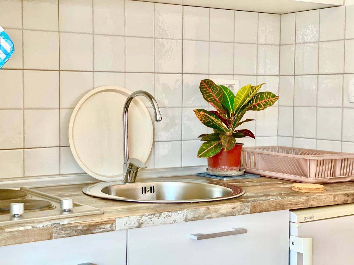 Garden House Μπούντβα Εξωτερικό φωτογραφία