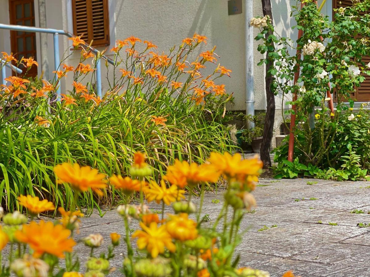 Garden House Μπούντβα Εξωτερικό φωτογραφία