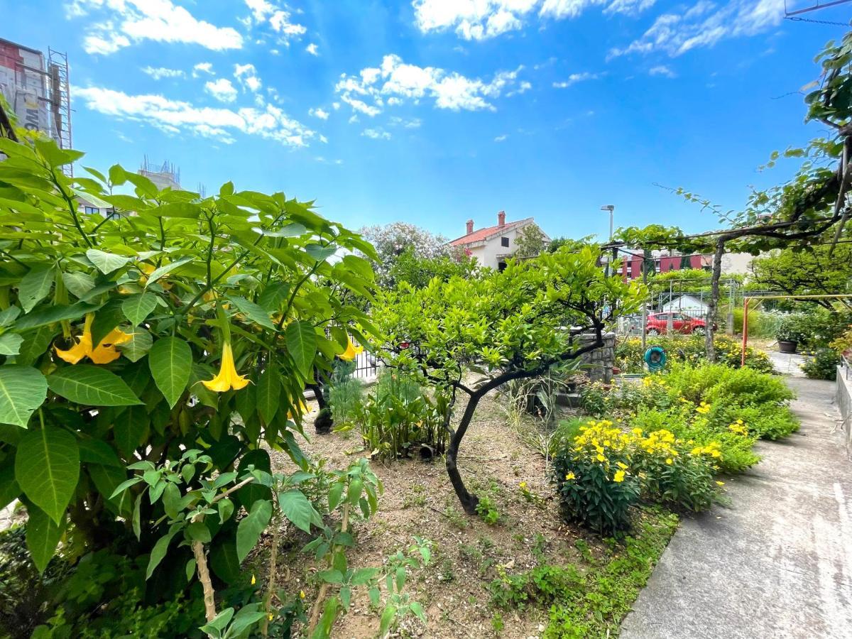 Garden House Μπούντβα Εξωτερικό φωτογραφία