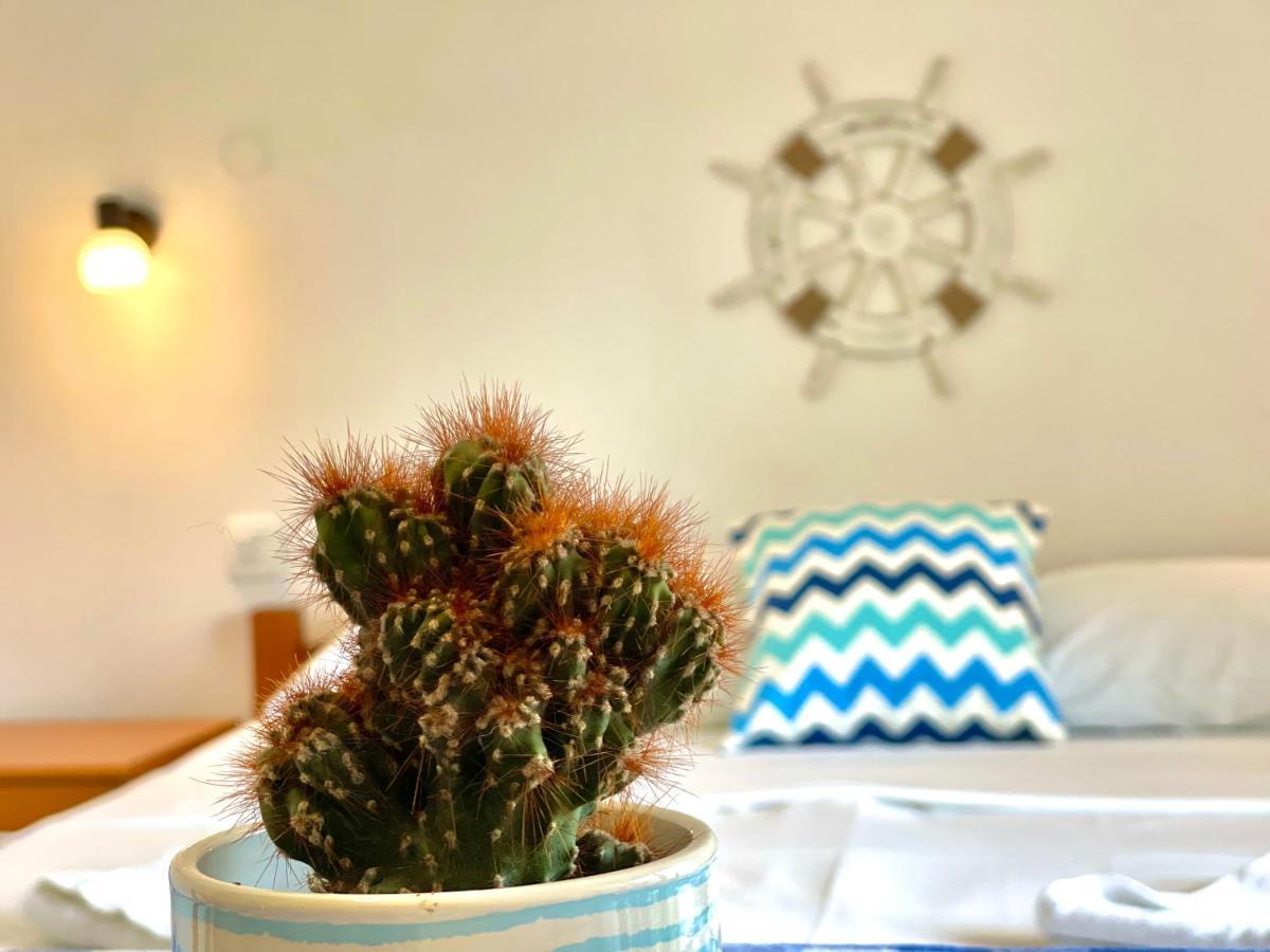 Garden House Μπούντβα Εξωτερικό φωτογραφία